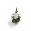 盆栽-动植物-盆栽-VR/AR模型-3D城