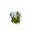 盆栽-动植物-盆栽-VR/AR模型-3D城