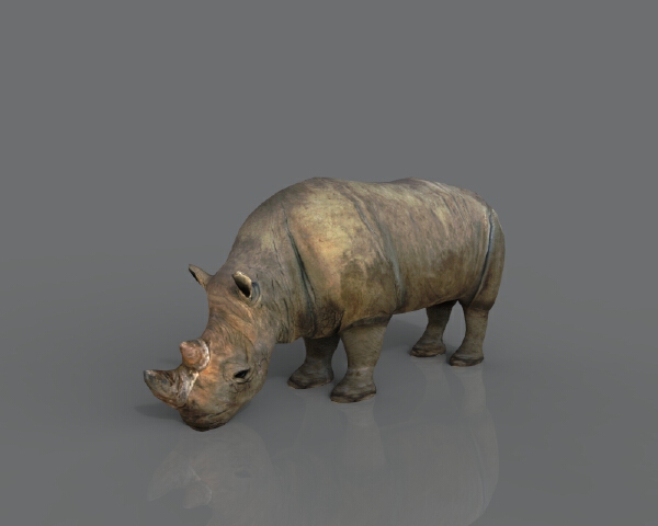 3dcity 专业的vr模型下载与分享平台犀牛 动植物 哺乳动物 Vr Ar模型 3d城