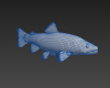 鲑鳟鱼-动植物-鱼类-VR/AR模型-3D城
