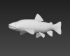鲑鳟鱼-动植物-鱼类-VR/AR模型-3D城