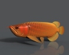 龙鱼-动植物-鱼类-VR/AR模型-3D城