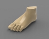 foot-surfaces-to-solid-文体生活-其它-工业CAD模型-3D城