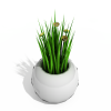 盆栽-动植物-盆栽-VR/AR模型-3D城