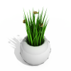 盆栽-动植物-盆栽-VR/AR模型-3D城