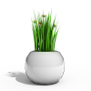 盆栽-动植物-盆栽-VR/AR模型-3D城