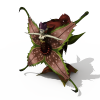 食人花妖-角色人体-女人-VR/AR模型-3D城