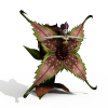食人花妖-角色人体-女人-VR/AR模型-3D城