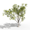 树-动植物-植物-VR/AR模型-3D城