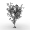 树-动植物-植物-VR/AR模型-3D城