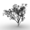 树-动植物-植物-VR/AR模型-3D城