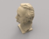albert-einstein-文体生活-艺术品-工业CAD模型-3D城