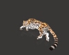 美洲豹-动植物-哺乳动物-VR/AR模型-3D城