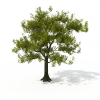 树-动植物-植物-VR/AR模型-3D城