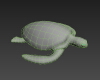 海龟-动植物-爬行动物-VR/AR模型-3D城