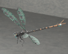 damselfly-robot-科技-其它-工业CAD模型-3D城