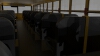school-bus-汽车-其它-工业CAD模型-3D城