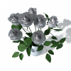 白色枚瑰-动植物-盆栽-VR/AR模型-3D城