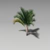 三角椰子-动植物-植物-VR/AR模型-3D城