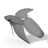 金鱼-动植物-鱼类-VR/AR模型-3D城