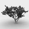枫树-动植物-植物-VR/AR模型-3D城