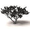 枫树-动植物-植物-VR/AR模型-3D城
