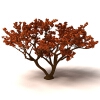 枫树-动植物-植物-VR/AR模型-3D城