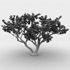 枫树-动植物-植物-VR/AR模型-3D城