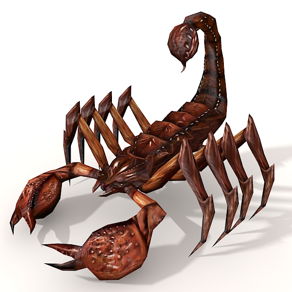 3dcity 专业的vr模型下载与分享平台蝎子 动植物 爬行动物 Vr Ar模型 3d城