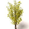 室外植物-动植物-植物-VR/AR模型-3D城