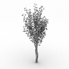 室外植物-动植物-植物-VR/AR模型-3D城