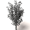 室外植物-动植物-植物-VR/AR模型-3D城