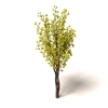 室外植物-动植物-植物-VR/AR模型-3D城