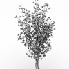 室外植物-动植物-植物-VR/AR模型-3D城