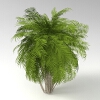 室外植物 -动植物-植物-VR/AR模型-3D城