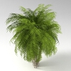 室外植物 -动植物-植物-VR/AR模型-3D城