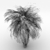 室外植物 -动植物-植物-VR/AR模型-3D城