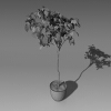 柿子树-动植物-盆栽-VR/AR模型-3D城