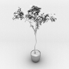 柿子树-动植物-盆栽-VR/AR模型-3D城