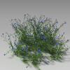 矢车菊-动植物-花草-VR/AR模型-3D城