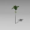 椰子树-动植物-植物-VR/AR模型-3D城