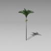 椰子树-动植物-植物-VR/AR模型-3D城