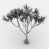 红刺露兜-动植物-植物-VR/AR模型-3D城