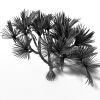红刺露兜-动植物-植物-VR/AR模型-3D城
