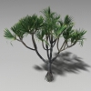 红刺露兜-动植物-植物-VR/AR模型-3D城