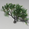红刺露兜-动植物-植物-VR/AR模型-3D城