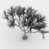 红刺露兜-动植物-植物-VR/AR模型-3D城