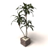 植物-动植物-盆栽-VR/AR模型-3D城