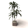 植物-动植物-盆栽-VR/AR模型-3D城