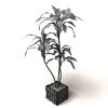 植物-动植物-盆栽-VR/AR模型-3D城
